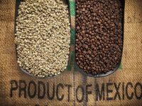 Куда Мексика экспортирует товары?
